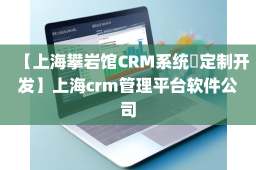 【上海攀岩馆CRM系统​定制开发】上海crm管理平台软件公司