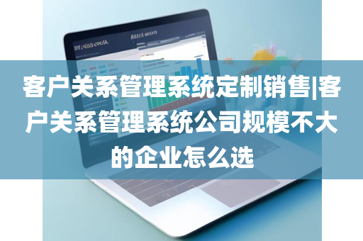 客户关系管理系统定制销售|客户关系管理系统公司规模不大的企业怎么选